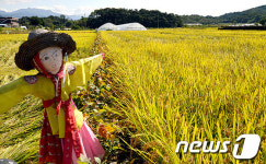 횡성 밤두둑마을 허수아비축제, 농축산부 지원사업 선정