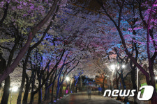 진달래·벚꽃 보러 부천에 오세요…11~12일 원미·도당산서 축제