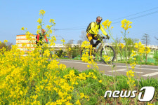 봄 향기 가득한 출근길