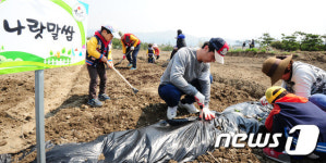 따뜻한 봄날 텃밭 가꾸기