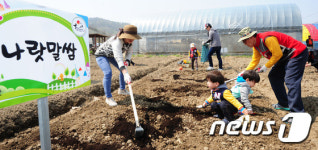 가족과 함께 일구는 주말농장
