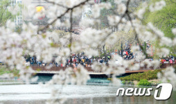 봄 향기 가득한 석촌호수