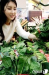 롯데마트, 경기 시금치 판매