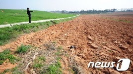 청보리밭에 청보리가 없네!