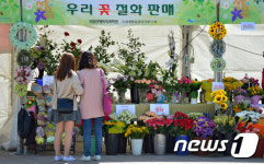 청솔꽃문화원 | '어떤 꽃이 좋을까?'