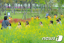 봄 소풍 나온 동심