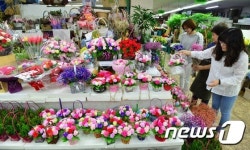 5월 앞두고 분주해진 꽃시장