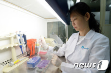 (주)올빛바이오 오수공장 | 백수오 제품 혼입 검사 시연하는 연구원