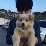 구여친클럽 변요한, 강아지 안고 환한 미소 훈훈