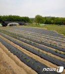 30만㎡ 이하 그린벨트 해제권한 지방정부에 이관