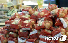 양파값, 1월 대비 26% 증가