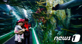 도심 속 아쿠아리움