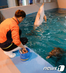 제돌이 만나러 갑니다!