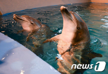 제돌이 만나러 갑니다!