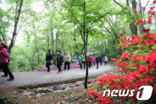 중랑구, 16일 망우산사랑 한마음 걷기대회 개최