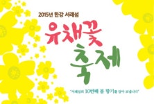 서울시, 이번 주말 한강 서래섬 유채꽃 축제 개최