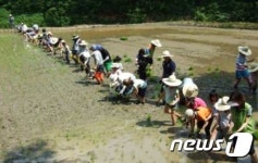 이순신 장군묘, 어떻게 일본인에게서 지켰을까