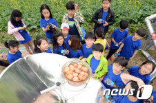 태양열로 계란을 삶았어요