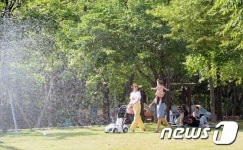무더위를 피해 숲으로