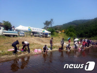 부여군, 은산면 거전리 지천에 참게·다슬기 종묘 방류