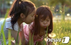 민들레 홀씨되어