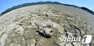 물고기는 살고 싶었다
