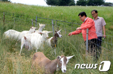 산양에게 먹이 주는 이동필 장관