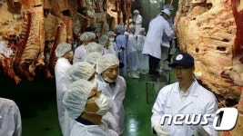 전북농협, (주)축림 도축장서 소 등급판정 현장설명회