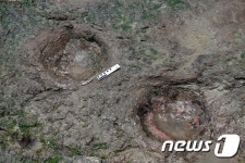 충남 보령시 천북면서 공룡발자국 화석 발견 … 충남에서는 처음