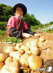 [메르스현황-19일오전·전북]관리대상 303명…하루 새 42% 급감