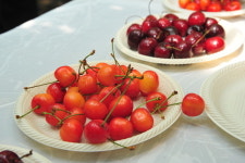 [음식속숨은이야기] 수입체리와 맞짱 뜰 앵두체리 아십니까?