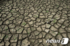 여기가 저수지 맞아?