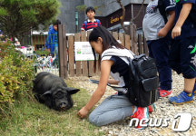 [강원의 재발견⑤]맛과 멋, 즐거움까지…오감만족 원주 돼지문화원