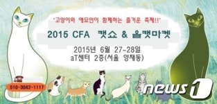 [동영상]아비시니안·먼치킨 등 명품 고양이 만나보세요