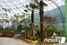 전주시, 호동골 시립양묘장에 꼬마 식물원 조성