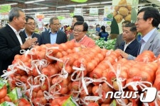 심상치 않은 채소값 현장점검 나선 이동필 장관