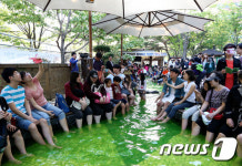 메르스로 중단된 대전유성의 명소…야외족욕체험장 1일 재가동