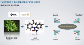 아주약품, 부작용없는 관절염·천식치료제 개발한다
