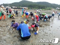 강진 마량 서중어촌체험마을, 일등 어촌마을로 선정…전남 유일