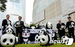 1600+ 판다 롯데월드몰 전시