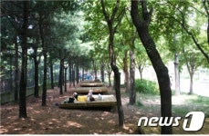 서울숲, 4일부터 내달 30일까지 여름 캠핑장 운영