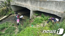 창원 마산회원구, 양덕천 살리기 하천 정화활동