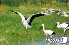 예산 황새공원, 생태체험 관광명소로 발돋움