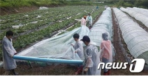 [단신]진안 동향면-7733부대-동향농협, 태풍 피해농가 복구지원