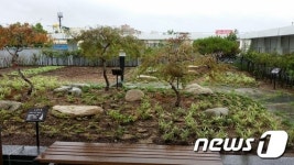 전주시, 효자동 양지노인복지관에 하늘공원 조성