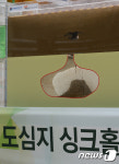 싱크홀 초기 토사 유출 '위험천만'