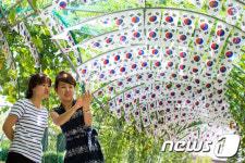 태극기를 배경으로 찰칵