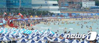 메르스 잊고 다시 활기 띄는 해운대 해수욕장