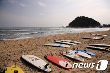 양양군 동산포·죽도 해변 서핑 메카로 본격 육성