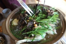 직접 기르고 잡는 토종닭 보양식의 맛 춘천음식점